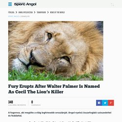 Fury Erupts After Walter Palmer Is Named As Cecil The Lion's Killer - Ingyenes online angol tanulás, Ingyen Angol nyelvtanulás