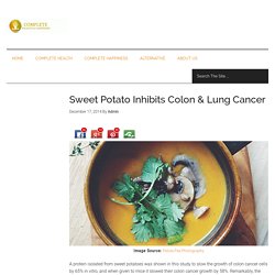 Sweet Potato Inhibits Colon & Lung Cancer