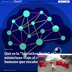 "Iniciativa BRAIN": el misterioso viaje al cerebro humano que encabeza EE.UU. - Clarín