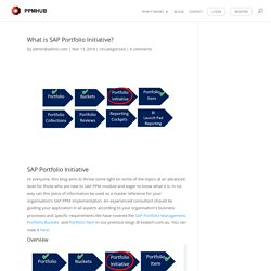 SAP Portfolio Initiative- Use in Portfolio Management