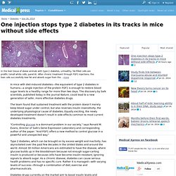 One injection stops type 2 diabetes in its tracks in mice without side effects