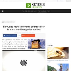 Flow, une ruche innovante pour récolter le miel sans déranger les abeilles