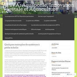 Quelques exemples de systèmes à petite échelle « APIVA: Aquaponie, Innovation Végétale et Aquaculture