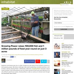 Growing Power raises 100,000 fish and 1 million pounds of food year-round on just 3 acres