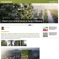 China's first vertical forest in Nanjing to include 1,100 trees and 2,500 shrubs