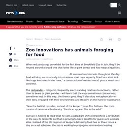 Zoo innovations has animals foraging for food