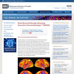 Brain Research through Advancing Innovative Neurotechnologies (BRAIN)