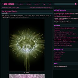 Inorganic flora ~ Pink Tentacle - StumbleUpon