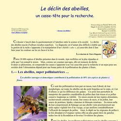 INRA magazine — Juin 2009 — Déclin des abeilles