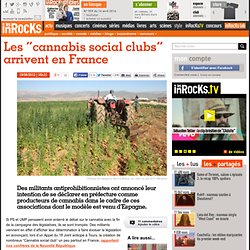 Les "cannabis social clubs" arrivent en France