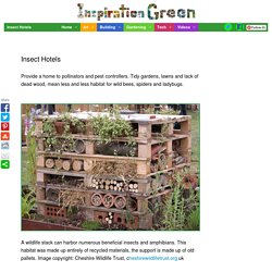 Insect Hotels