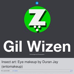 Insect art: Eye makeup by Duran Jay (entomakeup) - Gil Wizen