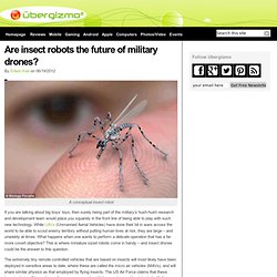 Are insect robots the future of military drones?