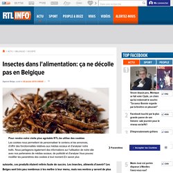 Insectes dans l'alimentation: ça ne décolle pas en Belgique