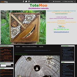 Gîtes à Insectes Auxiliaires - ToteMoo, Sculptures Vivantes