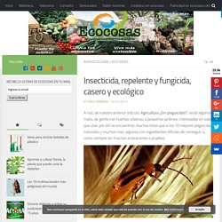 Insecticida, repelente y fungicida, casero y ecológico