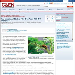 New-Insecticidal-Strategy-Kills-Crop.html?utm_source=dlvr