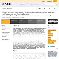 Effect of Stacked Insecticidal Cry Proteins from Maize Pollen on Nurse Bees (Apis mellifera carnica) and Their Gut Bacteria