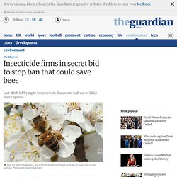Insecticide firms in secret bid to stop ban that could save bees