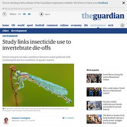 Guardian: Study links insecticide use to invertebrate die-offs
