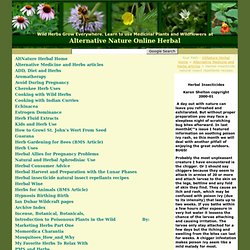 Herbal insecticide natural insect repellants recipes