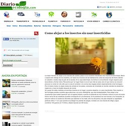 Como alejar a los insectos sin usar insecticidas