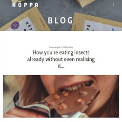 How you’re eating insects already without even realising it… - Hoppa