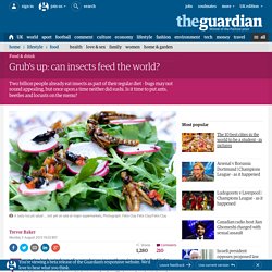 Grub's up: can insects feed the world?