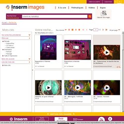 Inserm images : la banque d'images de l'Inserm
