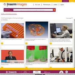 images : la banque d'images de l'Inserm