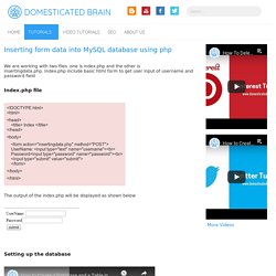 Inserting form data into MySQL database using php - Domesticated Brain