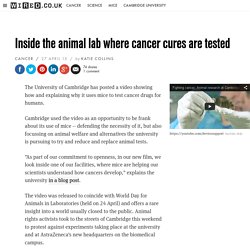 Inside the animal lab where cancer cures are tested