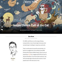 Inside China’s Cult of the Cat
