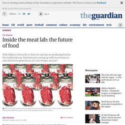 Inside the meat lab: the future of food