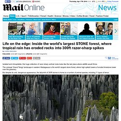 Life on the edge: Inside the world's largest STONE forest, where tropical rain has eroded rocks into 300ft razor-sharp spikes