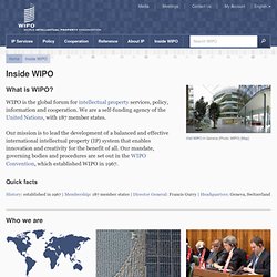 What is WIPO?