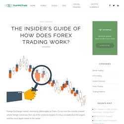 The Insider’s Guide of How Does Forex Trading Work?