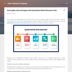 Get Insights, Data and Support with Quantitative Market Research Tools - Data Collection Company
