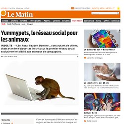 Insolite: Yummypets, le réseau social pour les animaux - News High-Tech: Web