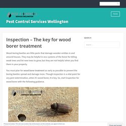 Inspection – The key for wood borer treatment