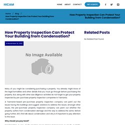 How Property Inspection Protects Building from Condensation