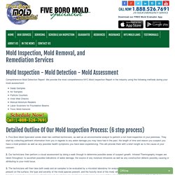 Mold Inspection, Mold Removal, Mold Remediation Brooklyn, NYC