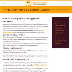 How to Identify Mould During Home Inspection