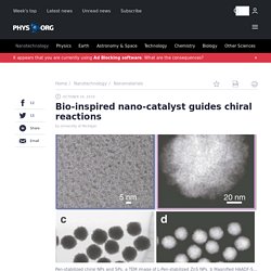 Bio-inspired nano-catalyst guides chiral reactions