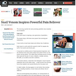 Snail Venom Inspires Powerful Pain Reliever