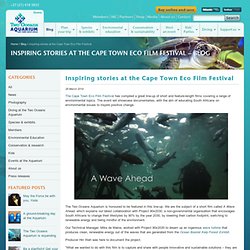 Inspiring stories at the Cape Town Eco Film Festival – Blog – Two Oceans Aquarium Cape Town, South Africa