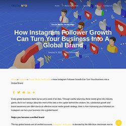 How Instagram Follower Growth Can Turn Your Business into a Global Brand