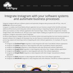 Instagram API Integration Services