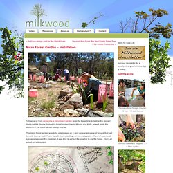 Micro Forest Garden – installation