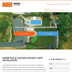 Holiday Lighting Installation Services in Naperville